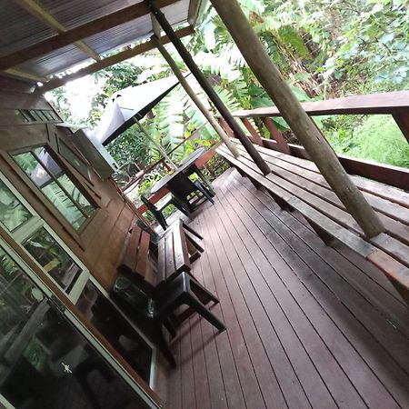 Yellowwood Forest Eco Retreat Morgan's Bay Εξωτερικό φωτογραφία