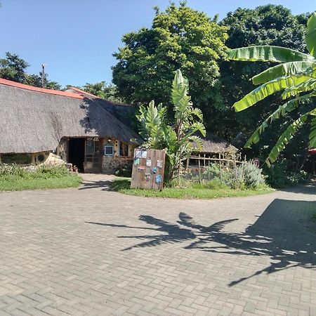 Yellowwood Forest Eco Retreat Morgan's Bay Εξωτερικό φωτογραφία