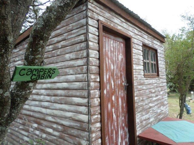 Yellowwood Forest Eco Retreat Morgan's Bay Εξωτερικό φωτογραφία