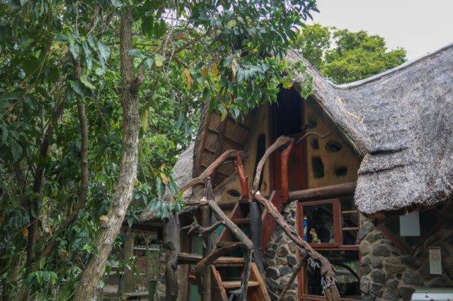 Yellowwood Forest Eco Retreat Morgan's Bay Εξωτερικό φωτογραφία