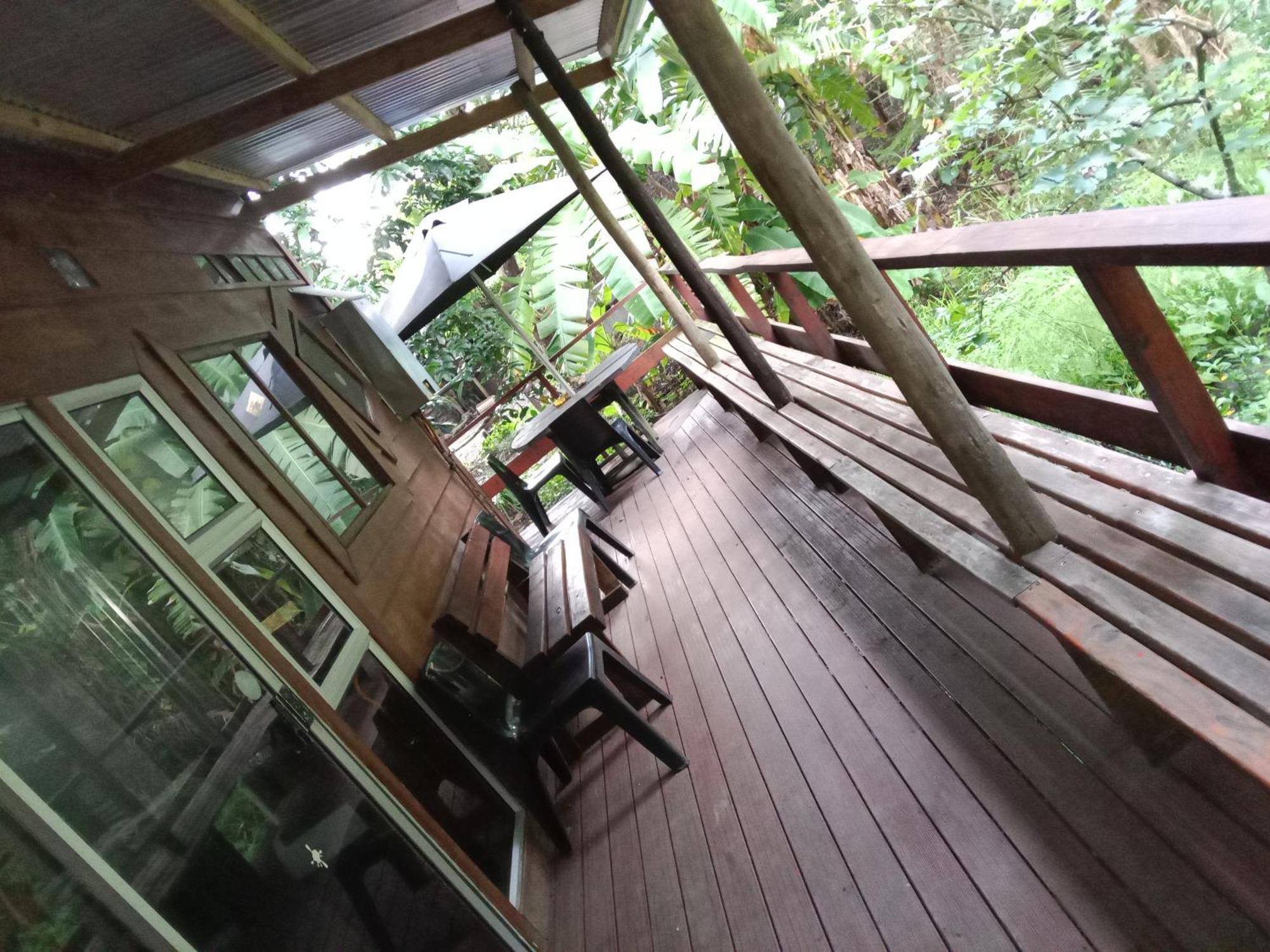 Yellowwood Forest Eco Retreat Morgan's Bay Εξωτερικό φωτογραφία
